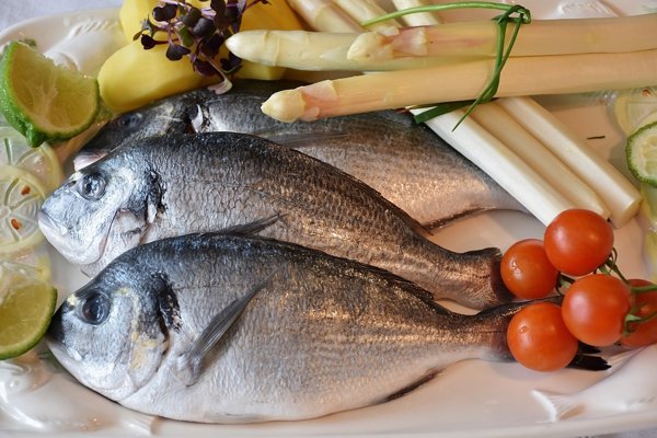 Comer entre 2 y 4 raciones semanales de pescado reduce un 21% el riesgo de mortalidad cardiovascular, según un estudio
