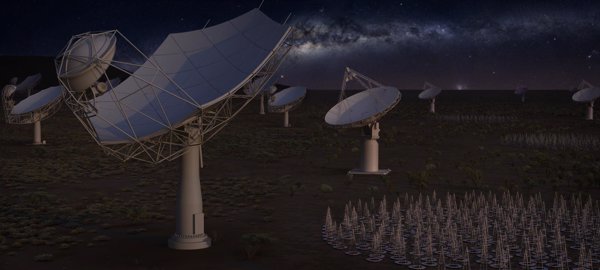 La Sociedad Española de Astronomía aplaude la incorporación de España al radiotelescopio Square Kilometre Array (SKA)