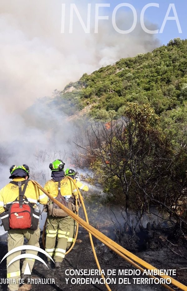 Continúa activo el incendio forestal en Casares (Málaga), que ha obligado a desalojar varias viviendas