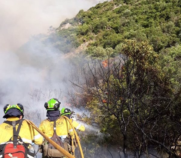 La Junta de Andalucía activa el nivel 1 del Plan de Emergencias por incendios forestales por el fuego en Málaga