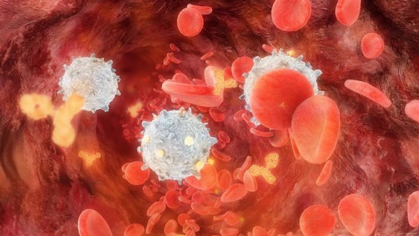 Investigadores prueban con éxito la hipoxia para tratar tumores sin dañar el tejido sano