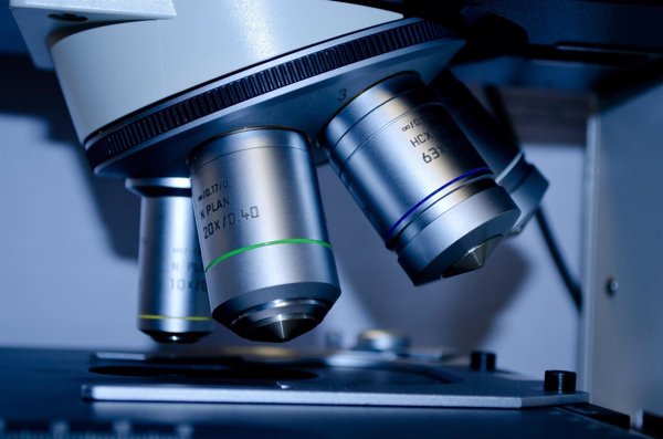 El Gobierno aprueba 100 millones de euros para atraer talento científico