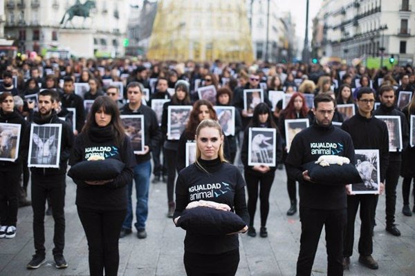 Activistas de Igualdad Animal organizan mañana un acto de protesta en Sol (Madrid) por el Día de los Derechos Animales