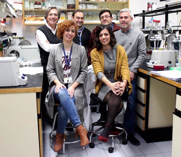Investigadores españoles hallan unas mutaciones genéticas que son la causa de una nueva miopatía congénita