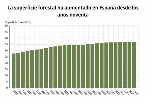 España ocupa el puesto número 76 del mundo por superficie forestal
