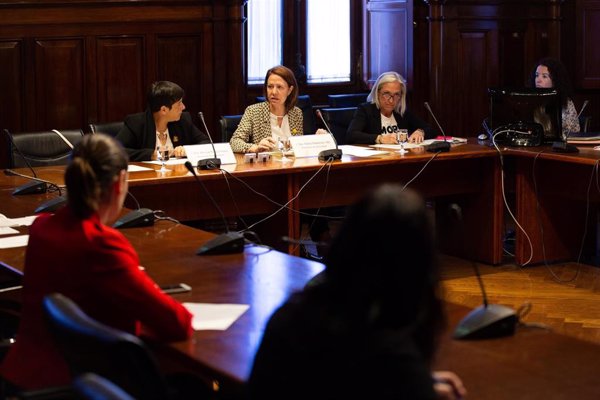 El Parlament declara que Iceta es elegible como senador pero le rechazará igualmente