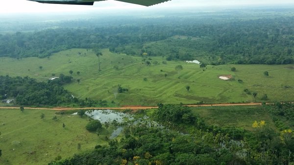 El cambio climático impactó en las comunidades amazónicas antes de la llegada de europeos
