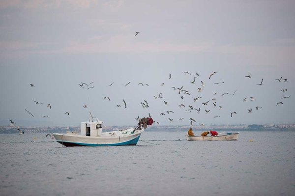 WWF pide a la UE que no renueve los subsidios a la pesca industrial y favorezca a la pesca sostenible