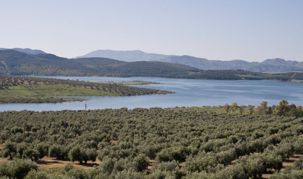 Ribera afirma que unas normas europeas sobre reutilización de aguas beneficiarán también a terceros países