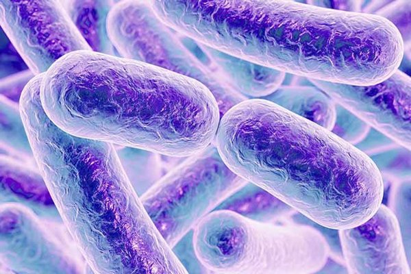 Un estudio demuestra que el microbioma intestinal puede afectar a la evolución de la ELA