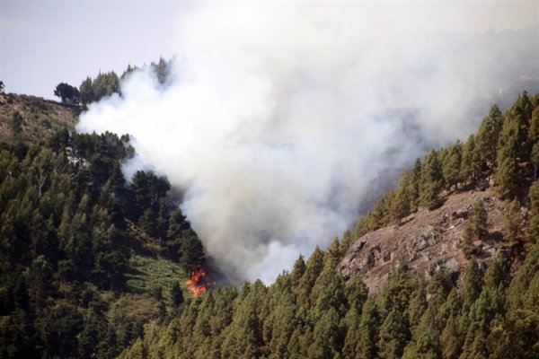 El calor y el viento dificultan los trabajos en el incendio de Gran Canaria, con 50 localidades desalojadas