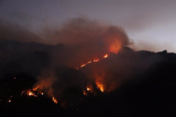 La Fundación Gadea intenta explicar la razón de los incendios a través de la Ciencia