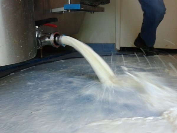 Los ganaderos afectados por el cártel de la leche tienen derecho a reclamar una indemnización, según abogados