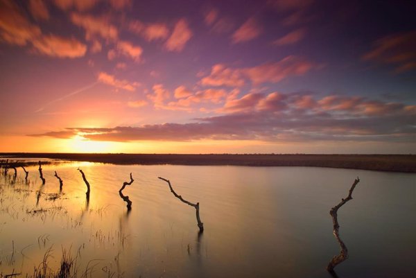 Doñana cumple 50 años entre amenazas como el agua, proyectos de infraestructuras y en medio de la emergencia climática