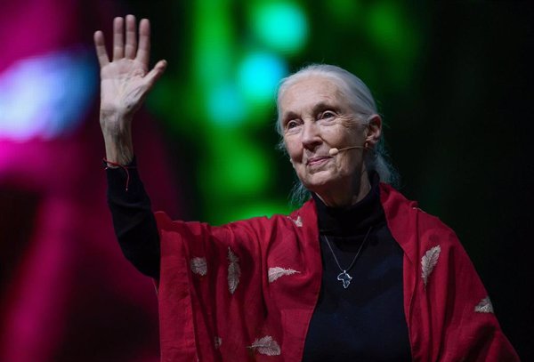 Instituto Jane Goodall y Fundación Biodiversidad publican un libro para fomentar en los jóvenes el cuidado ambiental