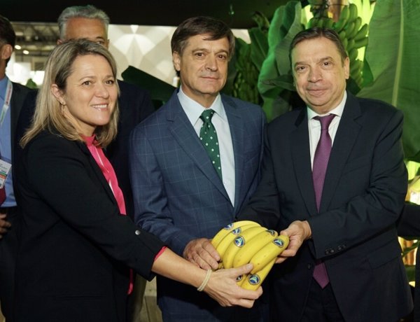 Plátano de Canarias ofrecerá un nuevo etiquetado 100% compostable y biodegradable