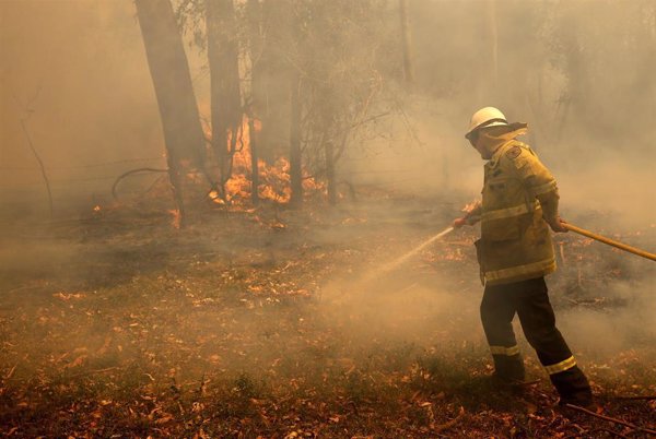 Cancelado el Rally de Australia por los incendios forestales en Nueva Gales del Sur