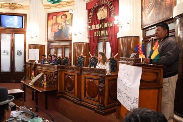 El partido de Morales elige al diputado Sergio Choque como nuevo presidente de la Cámara Baja