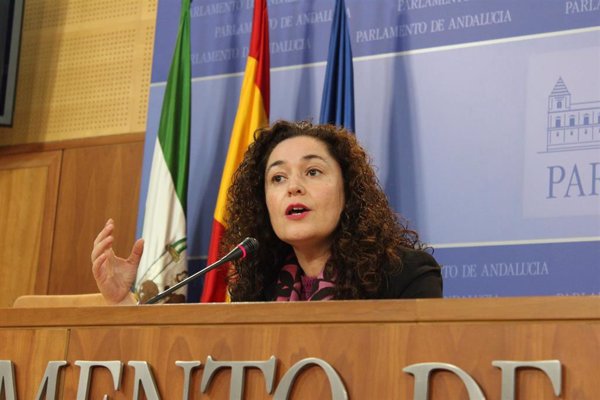 IU Andalucía no cree que los ERE afecten al preacuerdo Sánchez-Iglesias y dice que la dimisión de Díaz 