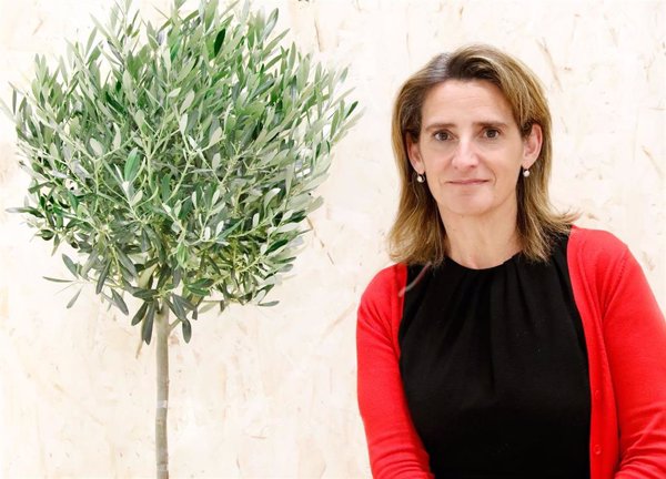 Teresa Ribera avanza que España manifestará su 