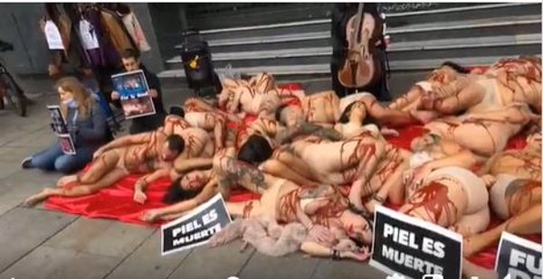 Activistas hacen una performance en la plaza de Callao contra la industria peletera simulando ser 
