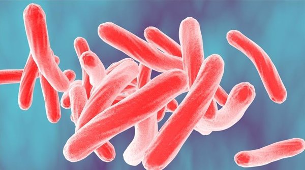Unión Internacional contra la Tuberculosis felicita las nuevas recomendaciones de la OMS para TB farmacorresistente