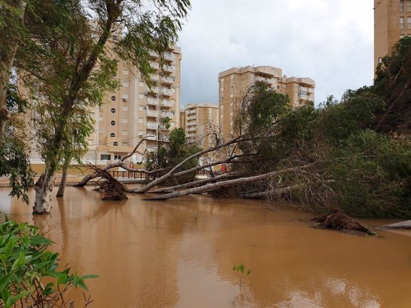 'Gloria' provoca daños materiales en Los Urrutias, Los Nietos, Playa Honda y La Manga