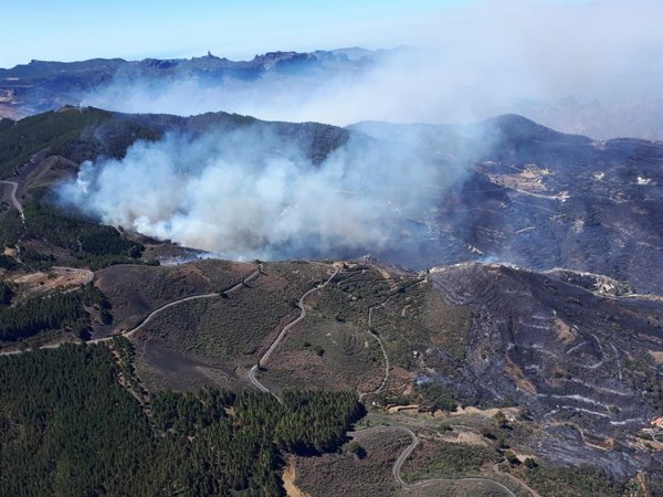 El año 2019 cierra con 83.962 hectáreas quemadas, el sexto año del decenio con más superficie quemada