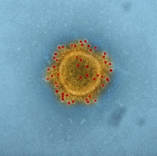 Sanidad descarta un caso de coronavirus en una persona que llegó a Barcelona procedente de China