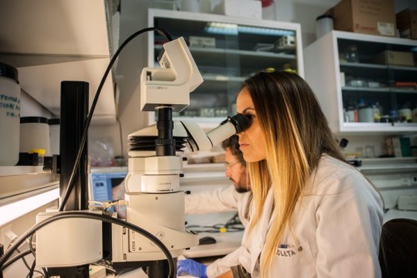 El Tribunal de Cuentas ve deficiencias en la gestión de proyectos de investigación del CSIC y le pide regular el proceso