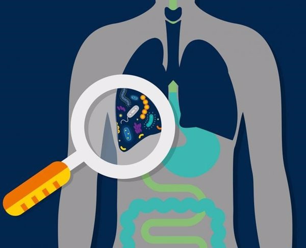 El microbioma pulmonar podría ayudar a predecir la evolución de pacientes críticos, según un estudio