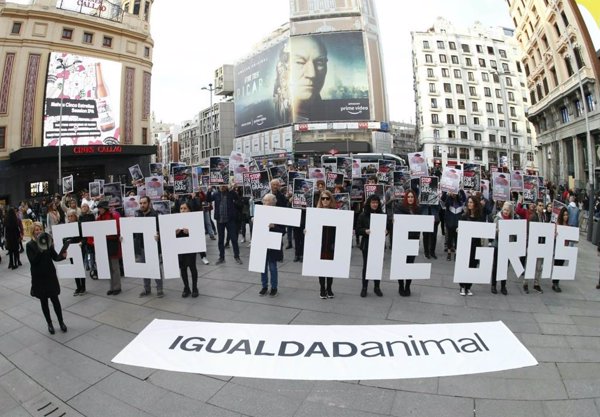 Más de un centenar de activistas reclaman al Gobierno que prohíba la producción de foie gras en España