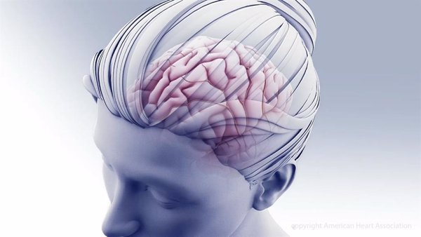 Investigadores de EEUU observan que las células cerebrales protegen los músculos del desgaste