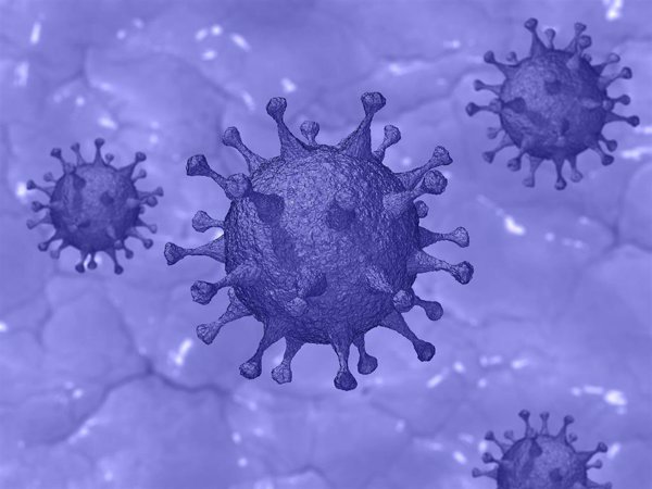 Investigadores australianos demuestran que un fármaco antiparasitario mata al coronavirus en 48 horas