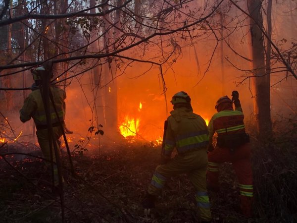 Provocados 23 incendios forestales en Cantabria en la última jornada, 12 aún activos