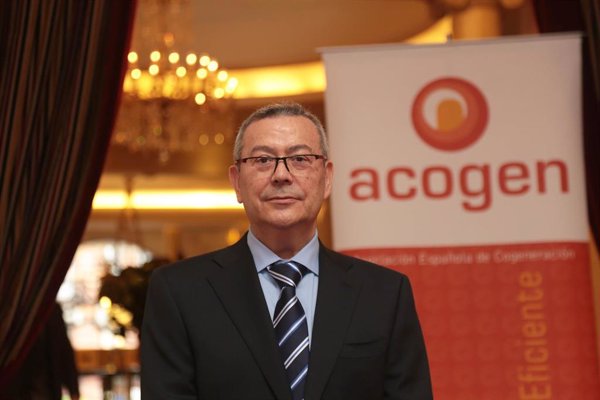 La cogeneración pide al Gobierno un ajuste regulatorio 