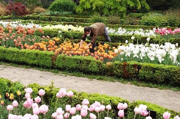 Cerca de 70 personas visitan el Real Jardín Botánico el primer día de la fase 1 de desconfinamiento