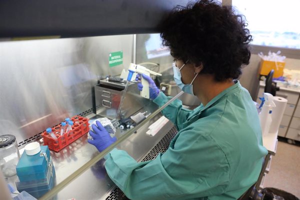 La Fundación BBVA destina 2,7 millones a apoyar 20 proyectos de investigación científica sobre Covid-19