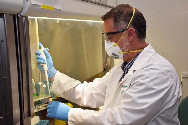 El PP acusa al Gobierno que no considerar la investigación como esencial en el estado de alarma y exige impulsarla