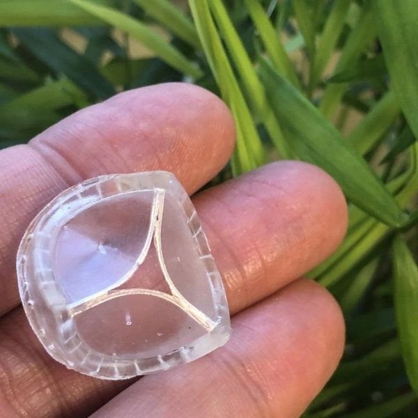 Científicos del Reino Unido crean una nueva válvula cardiaca más duradera