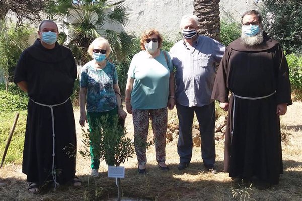 Plantan un olivo bendecido en memoria del 500 aniversario del beato valenciano Nicolás Facto