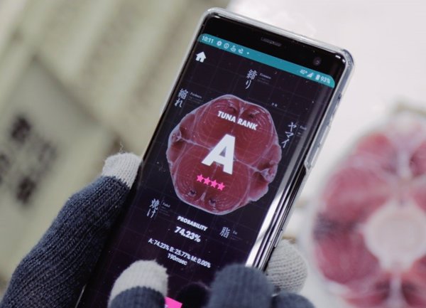 Una app japonesa usa la IA para valorar la calidad del corte del atún para el sushi