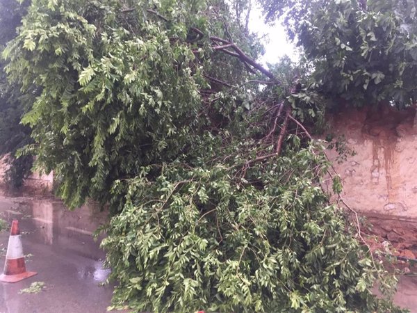 Las tormentas barren la provincia de Valencia de interior a costa y dejan daños materiales en la Plana de Utiel-Requena