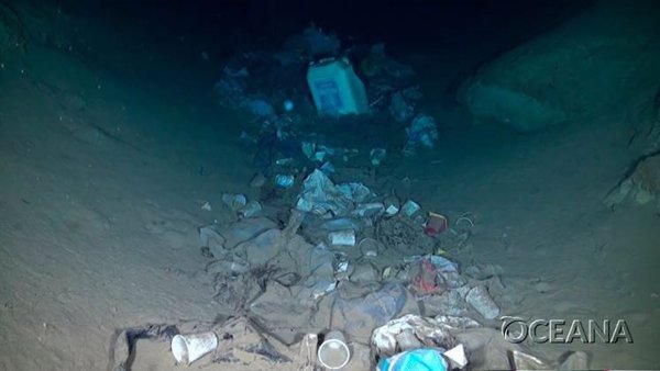 El 99% del plástico termina en aguas profundas, según un informe de Oceana que pide reducir drásticamente su uso