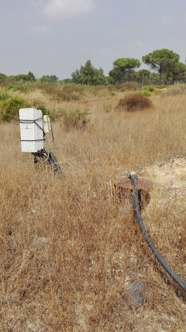 CH Guadalquivir inicia el cierre de 170 pozos y la revisión del sellado de 250 sondeos en el entorno de Doñana