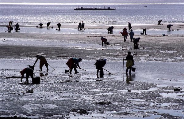 El Gobierno abre consulta hasta el 20 de junio el Plan Estratégico Nacional para proteger la costa del cambio climático