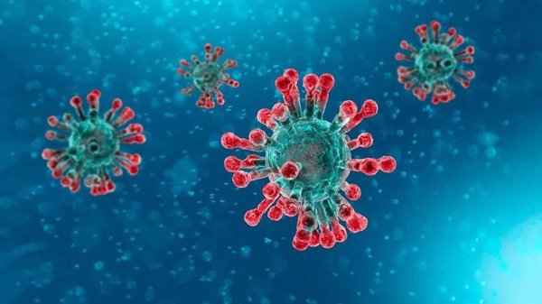 Un modelo de IA predice qué llave del sistema inmunológico abre las cerraduras del coronavirus