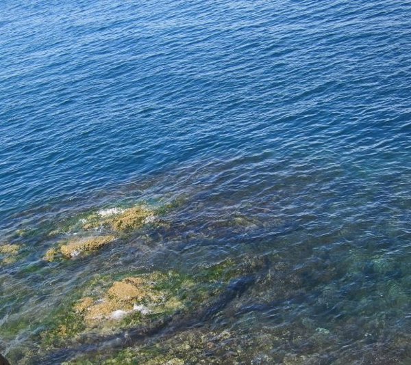 El Comité Europeo de las Regiones (CDR) presenta sus propuestas para proteger el medio marino y restaurar ecosistemas
