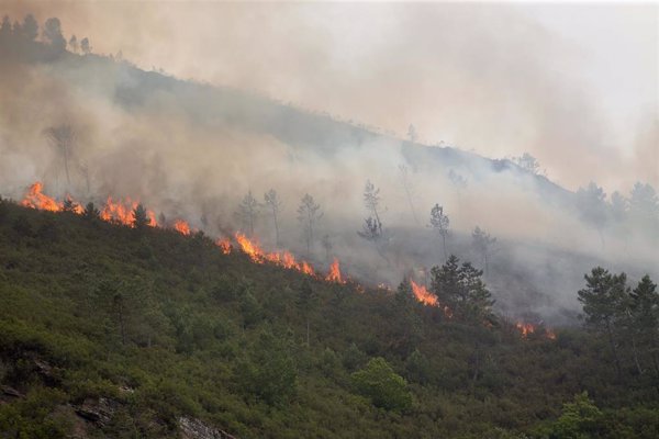El incendio de Folgoso (Lugo) arrasa 105 hectáreas y otro en Salvaterra (Pontevedra) alcanza las 180