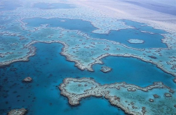 El MITECO choca con Exteriores por la protección de la Gran Barrera de Coral de Australia